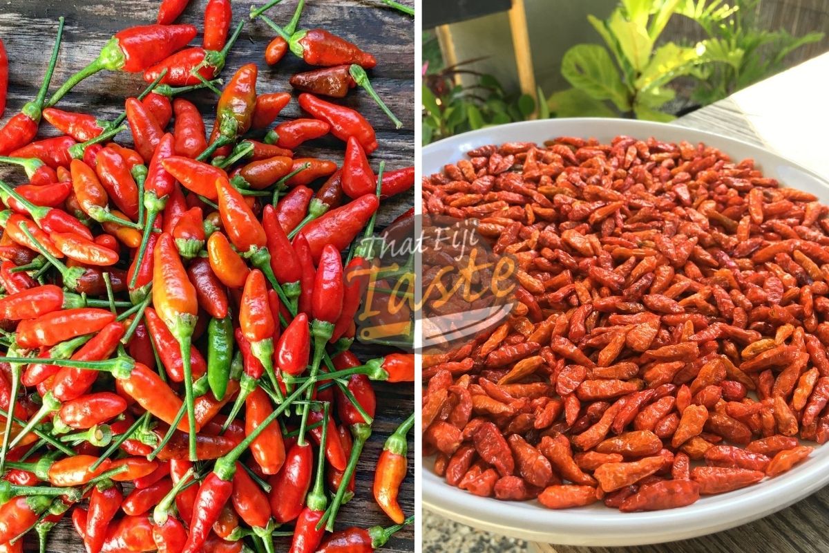 The Art of Preserving Heat: How to Dry Chillies Perfectly — Meadowlark  Journal