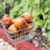 gulgula recipe