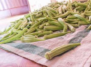 fresh bhindi okra in bulk