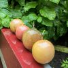 ripe passion fruit