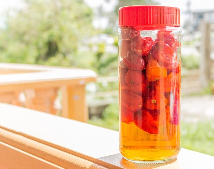 bongo chillies vinegar