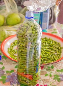 chillies preserved in vinegar