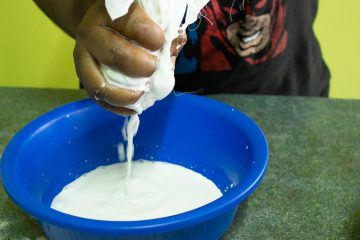 milking coconut