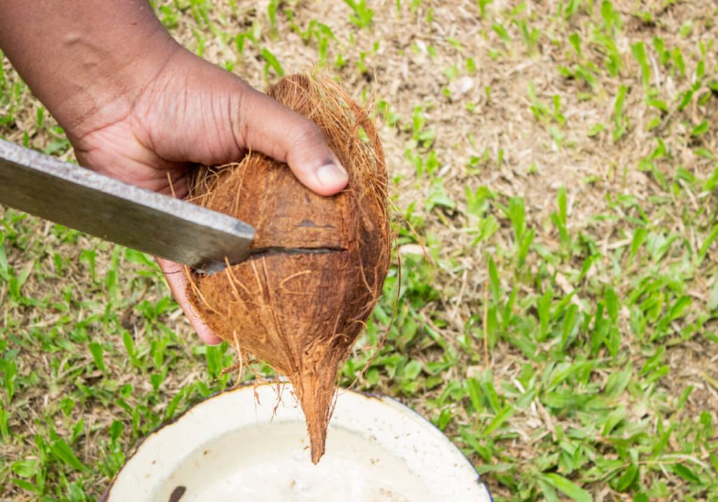 cracking brown coconut